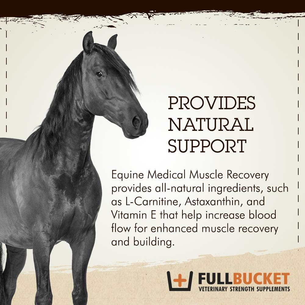 fullbucket-equine-medical-muscle-recover-3.jpg