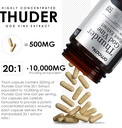 amalth-thunder-god-vine-root-tripterygiu-6.jpg