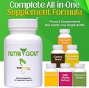 nutrigout-uric-acid-cleanse-supplement-w-5.jpg