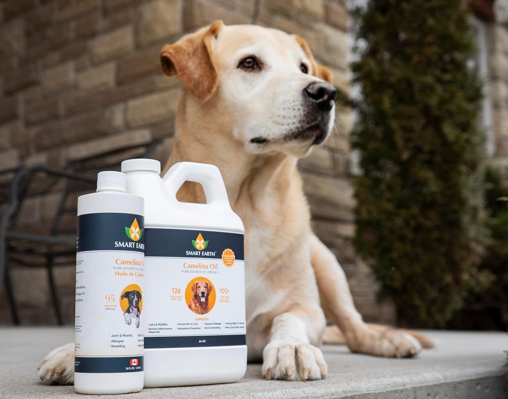 smart-earth-camelina-oil-for-dogs---omeg-4.jpg