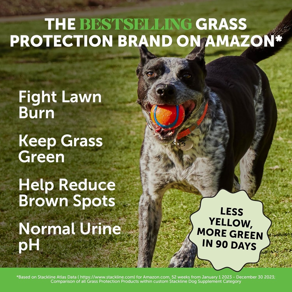 grass-green-dog-chews---urine-neutralize-2.jpg