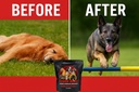 power-boost-canine-performance-formula-l-6.jpg