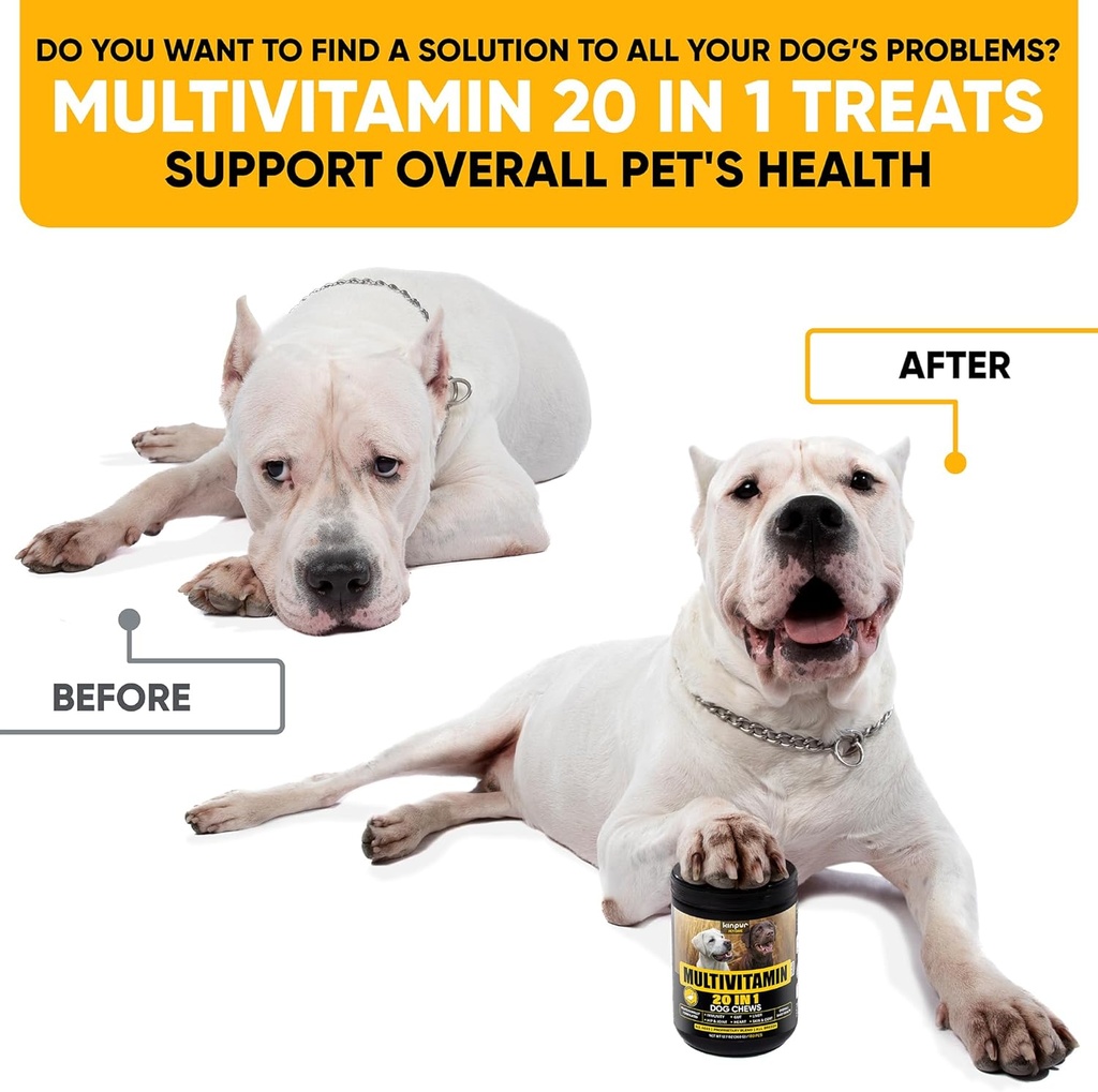20-in-1-dog-multivitamin-supplements---i-2.jpg