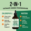 360-nutrition-matcha-chlorophyll-liquid--2.jpg