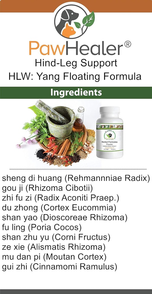 hind-leg-weakness-yang-floating---legs-b-2.jpg