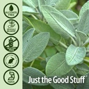 natures-answer-alcohol-free-sage-leaf-su-5.jpg
