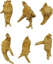 hand-selected-a-grade-american-ginseng-m-5.jpg