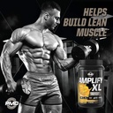 pmd-sports-amplify-xl-premium-whey-prote-3.jpg