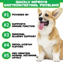 probiotics-for-dogs-digestive-health-dig-2.jpg