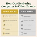 global-healing-center---organic-berberin-5.jpg