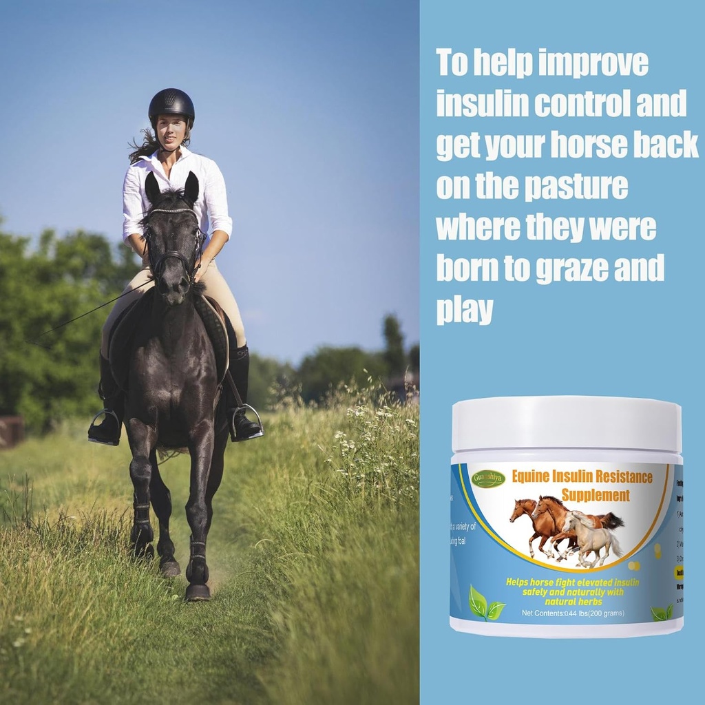insulin-resistance-supplement-for-horses-6.jpg
