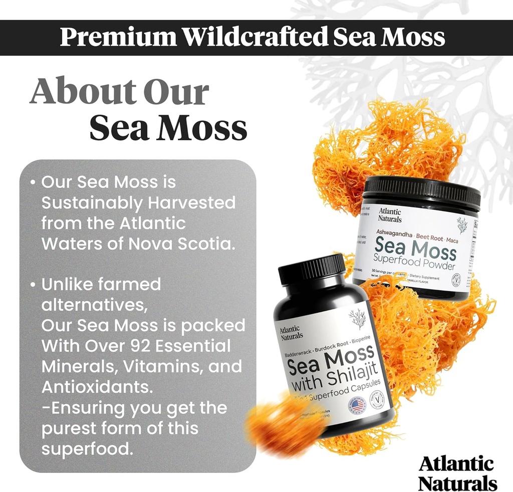atlantic-naturals-sea-moss-superfood-bun-3.jpg