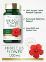 carlyle-hibiscus-flower-extract-1100-mg--3.jpg