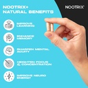 nootrix-brain-plus-nootropic-supplement--3.jpg