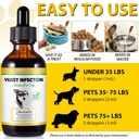 dog-yeast-infection-treatment-natural-ye-6.jpg