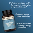 dr-mercola-biothin-organic-apple-cider-v-5.jpg