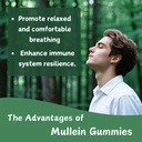 mullein-gummies-for-lung-cleanse-organic-3.jpg