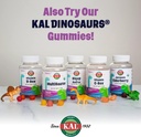 kal-kids-zinc-elderberry-dinosaurs-immun-6.jpg