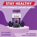 sambucol-black-elderberry-gummies---elde-5.jpg