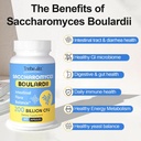 saccharomyces-boulardii-probiotics-200-b-4.jpg