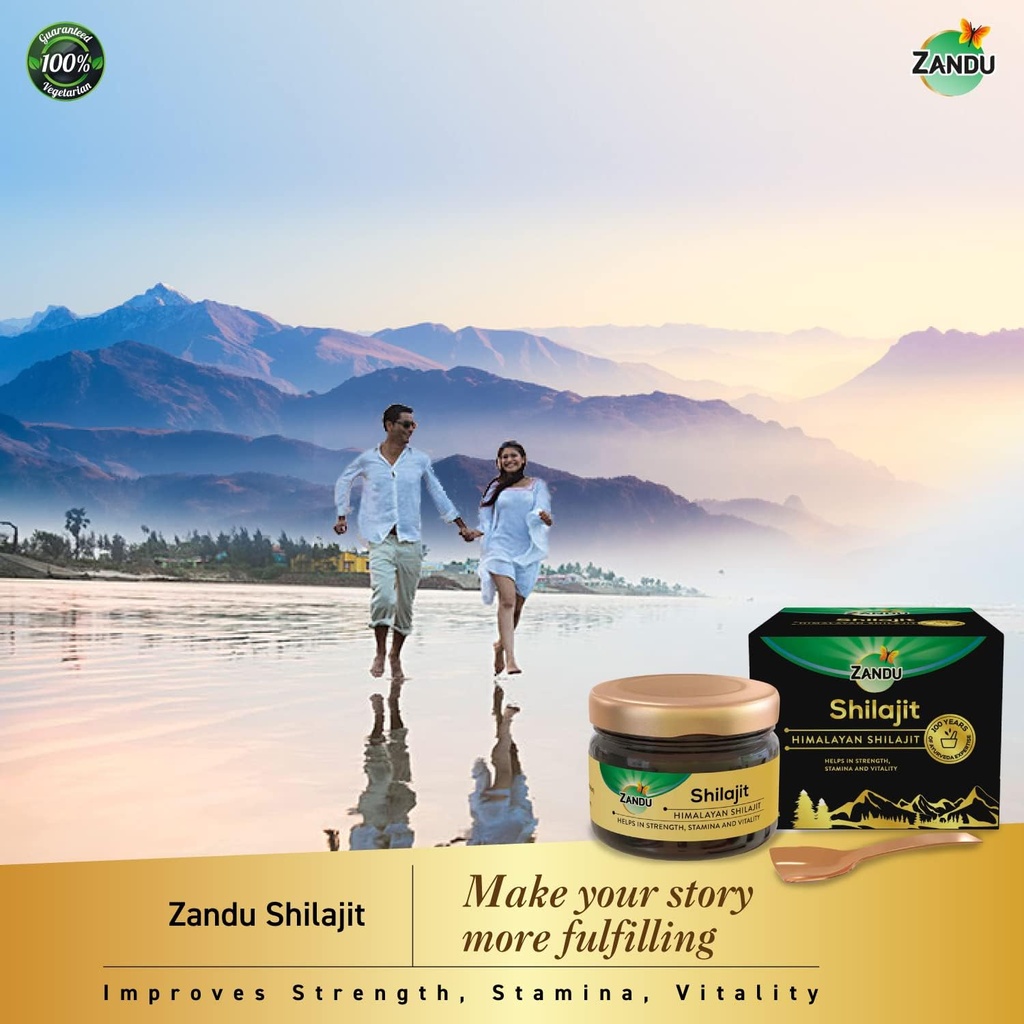 zandu-himalayan-shilajit-resin-natural-p-5.jpg