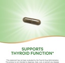 natures-way-kelp-supports-thyroid-functi-4.jpg