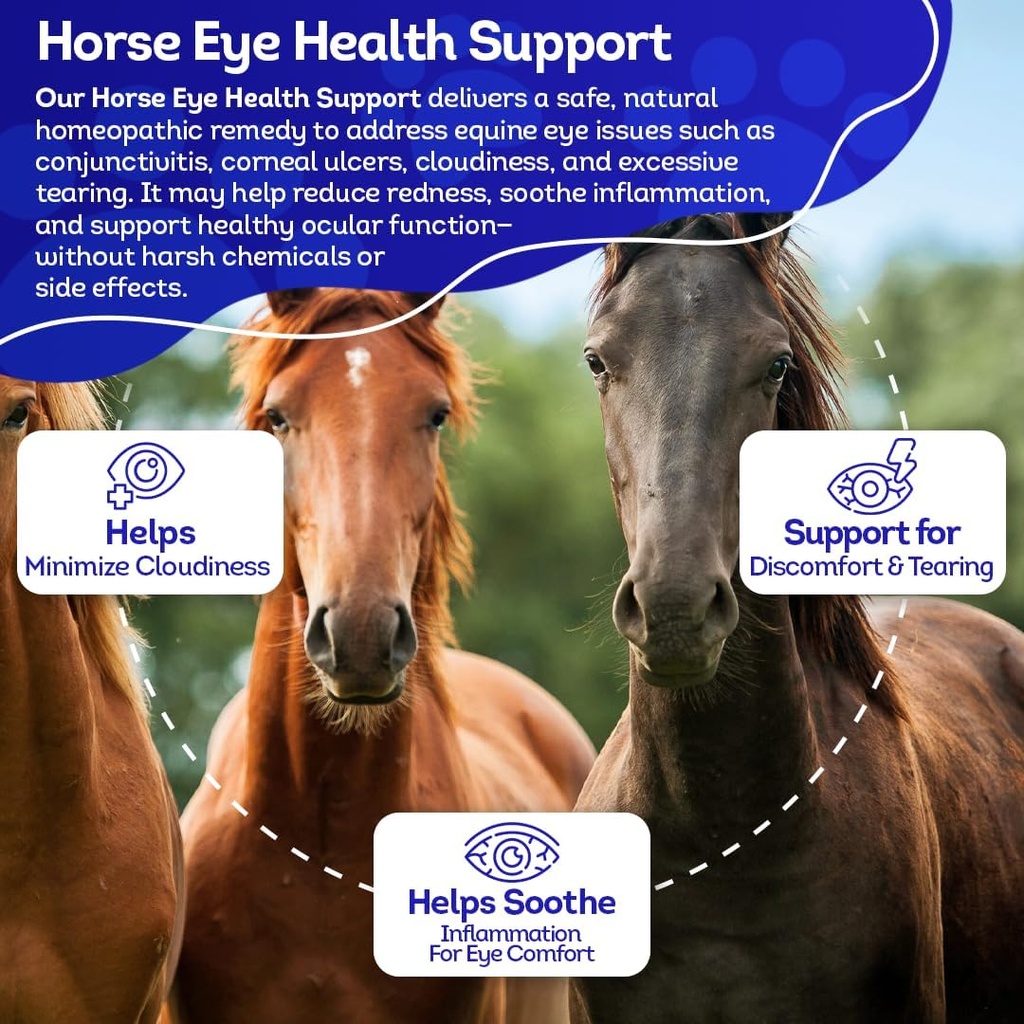 ha4e---horse-eye-health-support---mainta-4.jpg