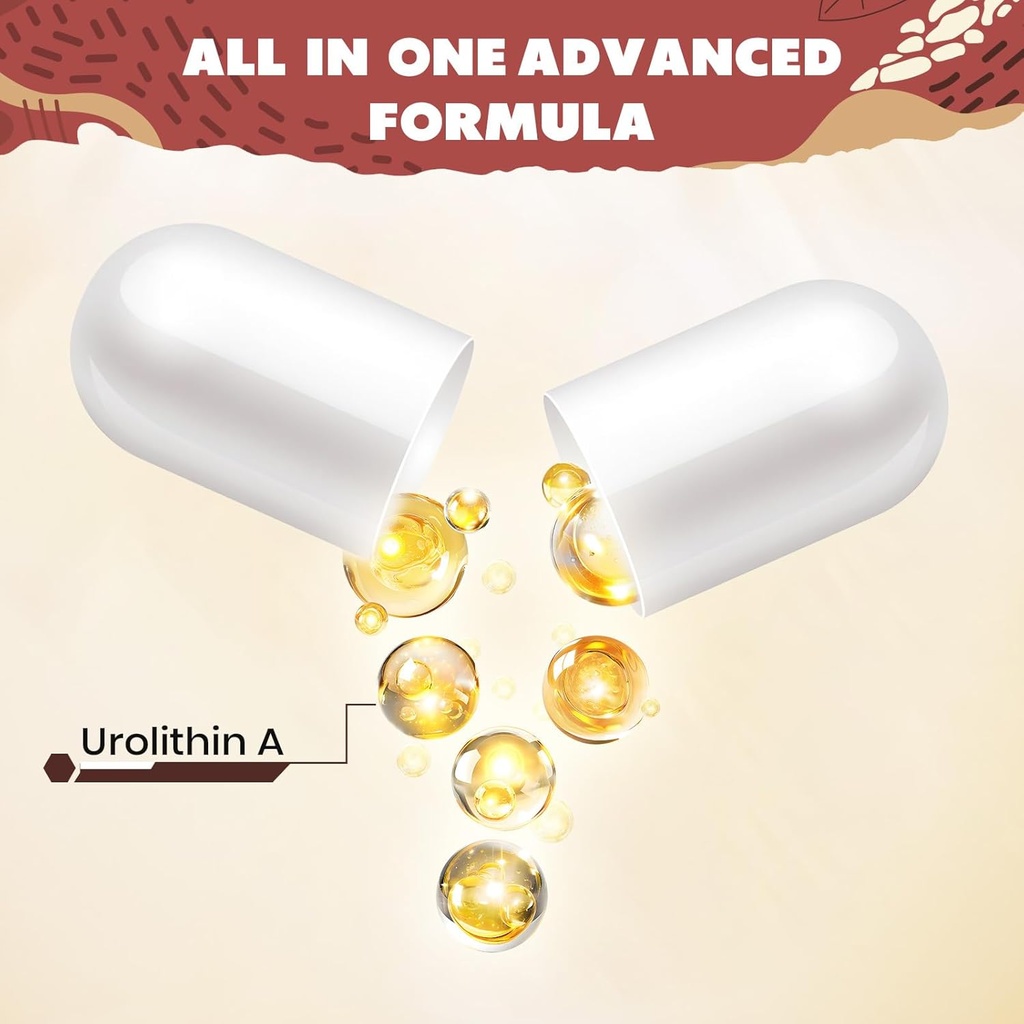 marafiki-urolithin-a-supplement-3.jpg