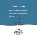 manna-pro-suckle-pro-calf-milk-replacer--4.jpg