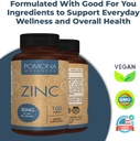 pomona-wellness-zinc-supplements-for-adu-5.jpg