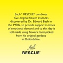 bach-rescue-sleep-liquid-melts-natural-o-5.jpg