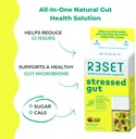r3set-stressed-gut-prebiotic-daily-suppl-2.jpg