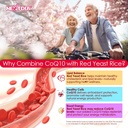 coq10-gummies-for-adults---sugar-free-co-4.jpg