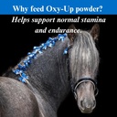 su-per-oxy-up-performance-horse-suppleme-4.jpg