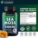 sea-moss-capsules---irish-sea-moss-advan-6.jpg