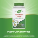 natures-way-feverfew-herb-traditional-su-4.jpg