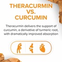 curcuminrich-joint-curcumizer-by-natural-3.jpg