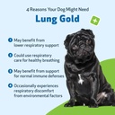 pet-wellbeing-lung-gold-for-dogs-cats----3.jpg