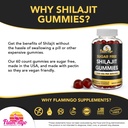 sugar-free-shilajit-gummies-1000mg-servi-3.jpg