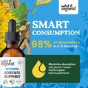 wild-organic-adrenal-support-tincture-2--3.jpg