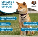 replenish-urinary-tract-chews-for-dogs---3.jpg