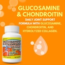 arymar-glucosamine-chondroitin-with-coll-5.jpg