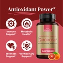 ultimate-antioxidant-bundle---shilajit-p-4.jpg