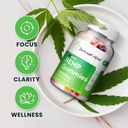 zen-leaf-hemp-gummies---with-hemp-seed-e-4.jpg