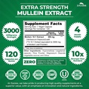 zazzee-extra-strength-mullein-101-extrac-3.jpg