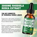 2-pack-2000mg-rhodiola-rosea-tincture----3.jpg