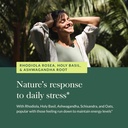 gaia-herbs-stress-response-supplements---5.jpg