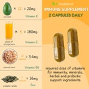 healblend-10-in-1-immune-support-supplem-5.jpg
