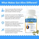 gut-alive---all-natural-support-to-fight-3.jpg
