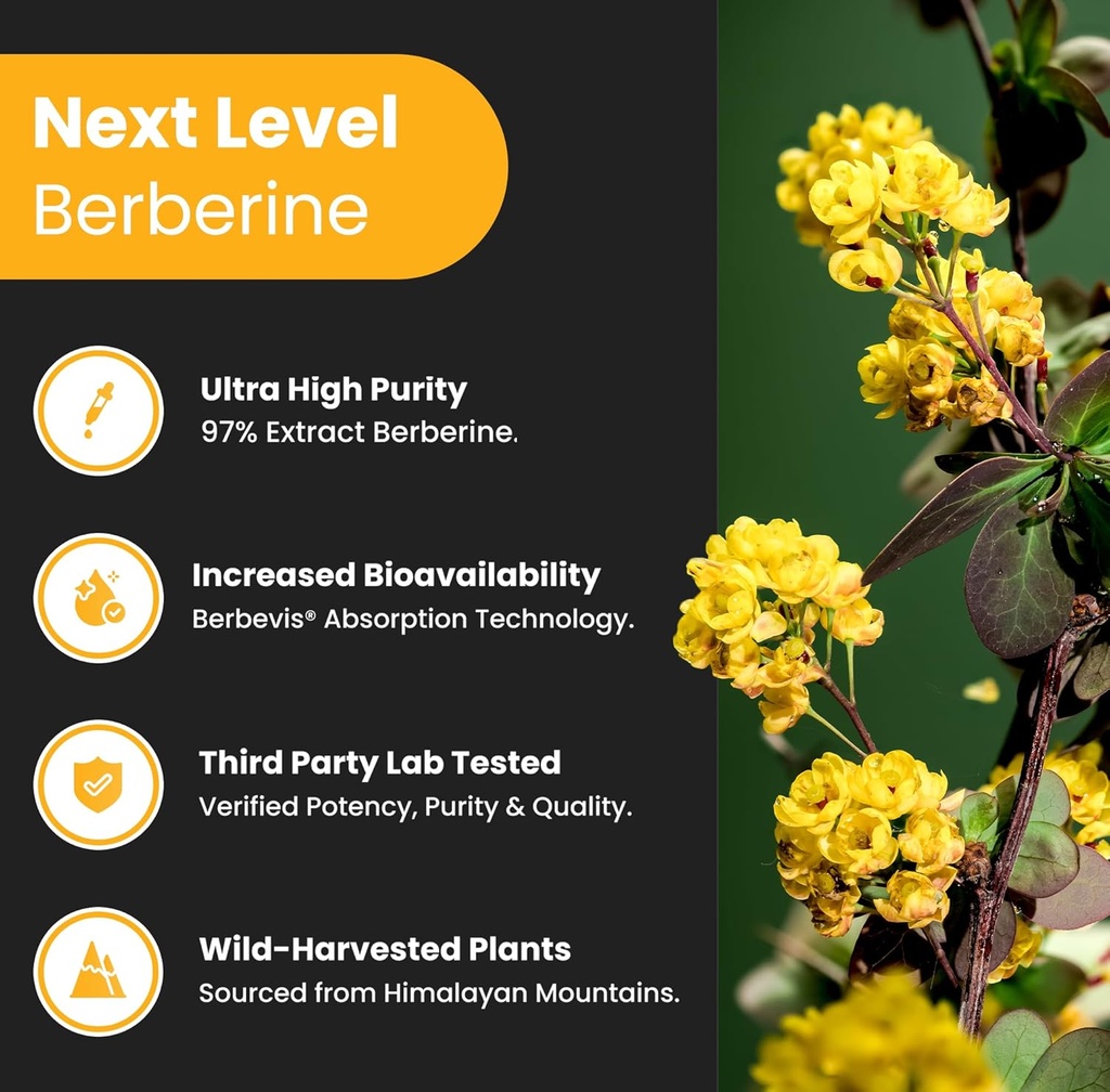 nutrachamps-berberine-supplement-ultra-h-3.jpg